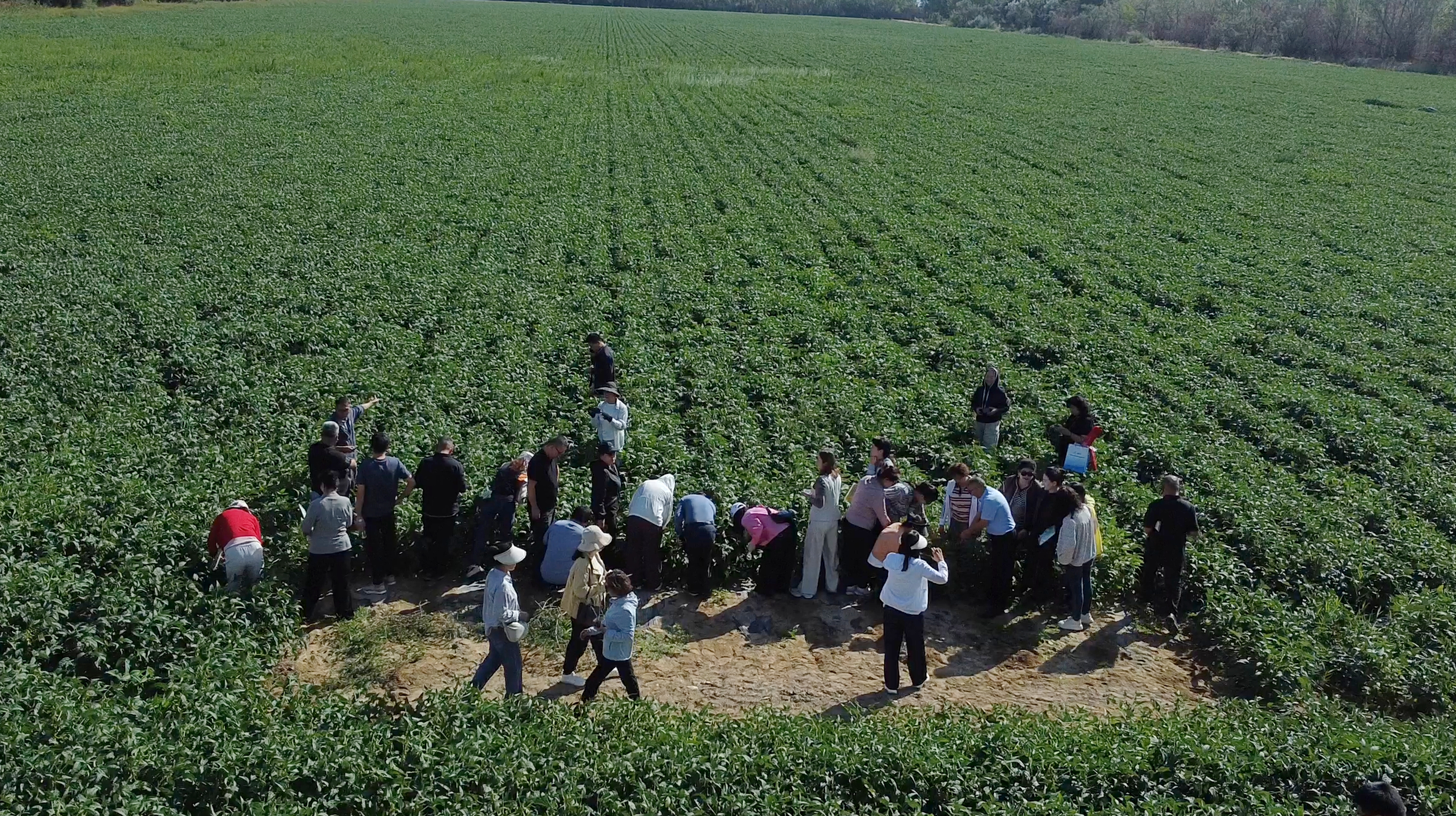 mmexport1756443275022